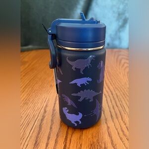 14 oz Hydrapeak Navy Dinosaur Water
